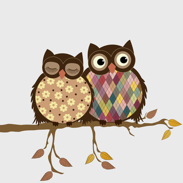 Pair of owls on branch in autumn