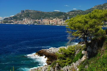végétation sur la côte de Roquebrune cap martin
