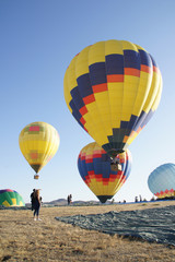 Obraz premium Balloon Festival Sunrise