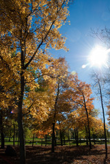 L'&icirc;le des moulins &agrave; Terrebonne