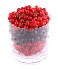 Red and black currants