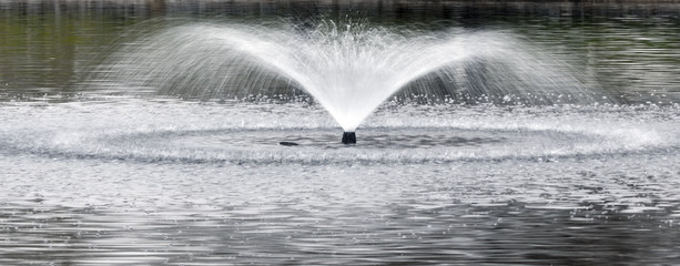 Fuente de un estanque de patos dentro de un parque urbano