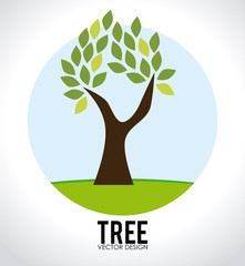 Obraz premium Ecology design