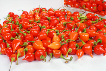 Pimenta biquinha