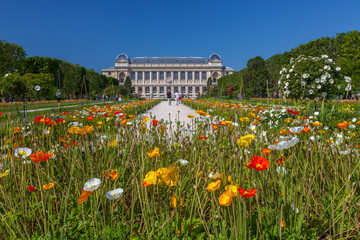 Obraz premium Wielka Galeria Ewolucji, Jardin des Plantes, Paryż