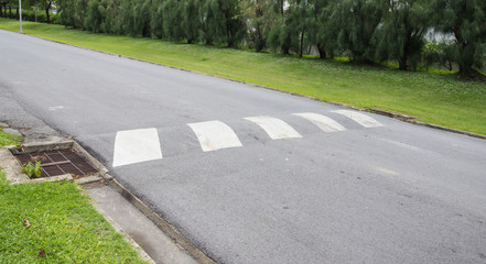 The bumps on the asphalt