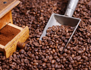 Antique coffee grinder with grinded coffee in scoop on beans