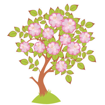 vector of cherry blossoms