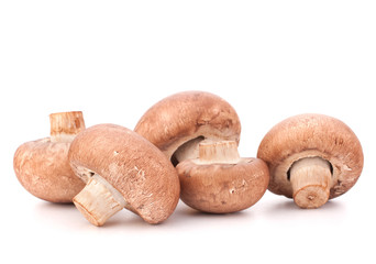 Brown champignon mushroom group