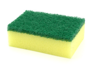 sponge