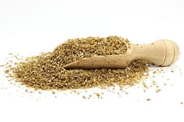 Koriander mit Holzschippe isoliert auf weißem Hintergrund