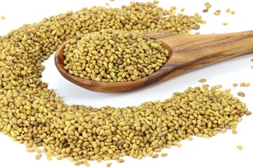 Alfalfa mit Löffel aus Olivenholz auf weißem Hintergrund