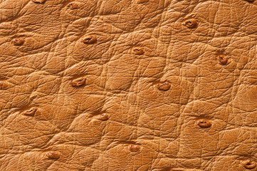 Closeup of seamless beige leather texture