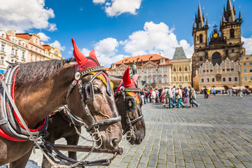 Naklejka na ściany i meble Horse Carriage waiting for tourists at the Old Square in Prague.