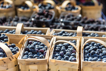 Berries at the farmers market