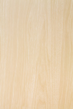High resolution blonde wood texture