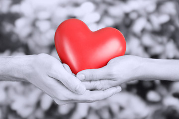 Obraz na płótnie Canvas Red heart in hands on grey background