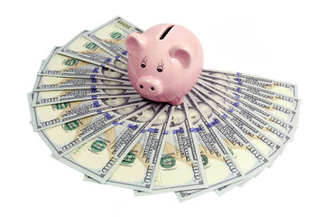 pink piggy bank on dollars-new 2013 edition