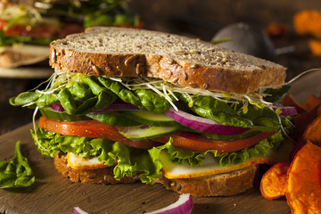 Healthy Vegetarian Veggie Sandwich