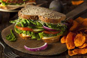Healthy Vegetarian Veggie Sandwich