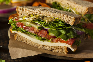 Healthy Vegetarian Veggie Sandwich