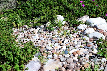 Rock garden.