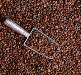 Grinded coffee in vintage scoop on beans