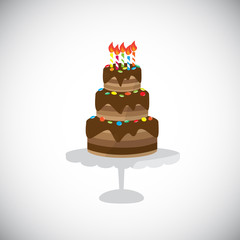 isolate chocolate birthday cake, vector