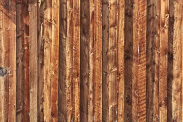Rideaux velours Parc naturel Mur en bois - Wood wall