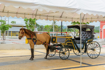 Carriage with brown horse