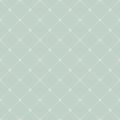 Fototapeta premium Geometric Seamless Pattern. Abstract Background