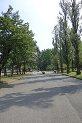 水元公園の風景