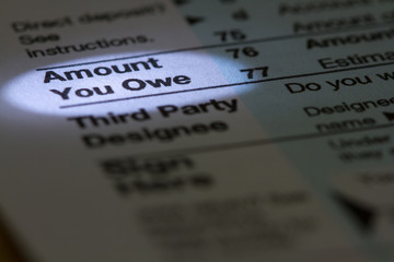 Amount You Owe 