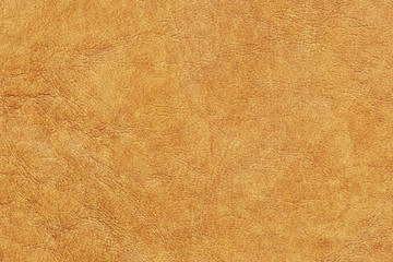Antique Animal Skin Parchment Grunge Texture Sample