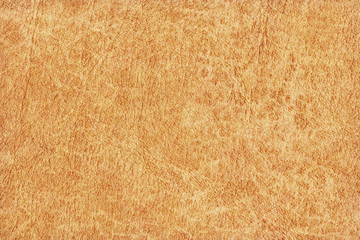 Antique Animal Skin Parchment Grunge Texture Sample