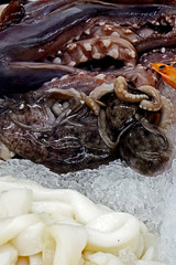 Octopus and rings over