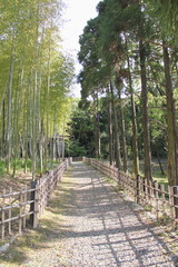 林の径