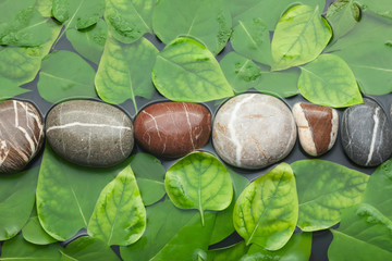Striped stones and leaves in the water on wet background