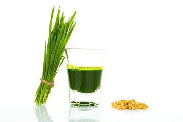 Shot glass of wheat grass with fresh cut wheat grass and wheat g