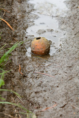 Lost dog ball in muddy puddle