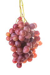 Red grapes