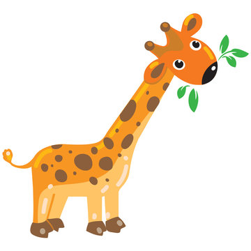 Cheerful giraffe with green leafs. Children illustration