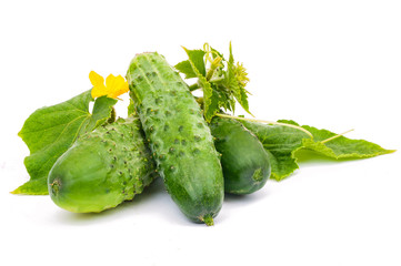 cucumber on white