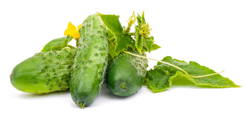 cucumber on white