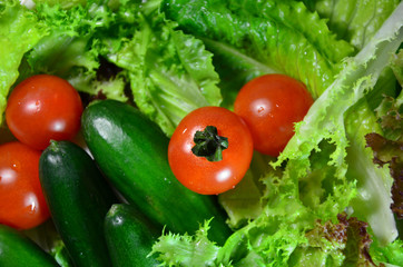 Obraz na płótnie Canvas tomato and cucumber with many kind of salads
