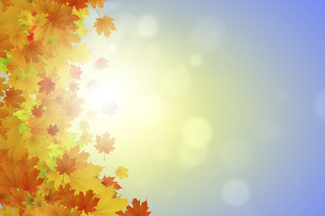 Autumn leaves