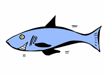 doodle shark