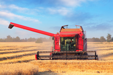 Combine harvester on field