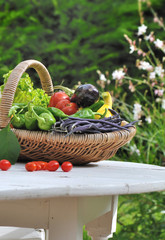 panier de légumes sur table de jardin