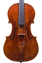 Viola